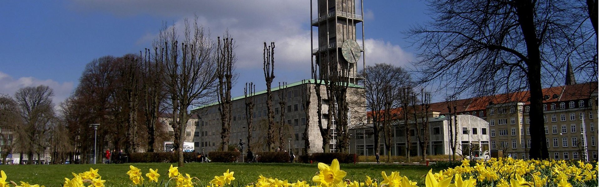 Fælesrådet Frederiksbjerg, Langenæs & City